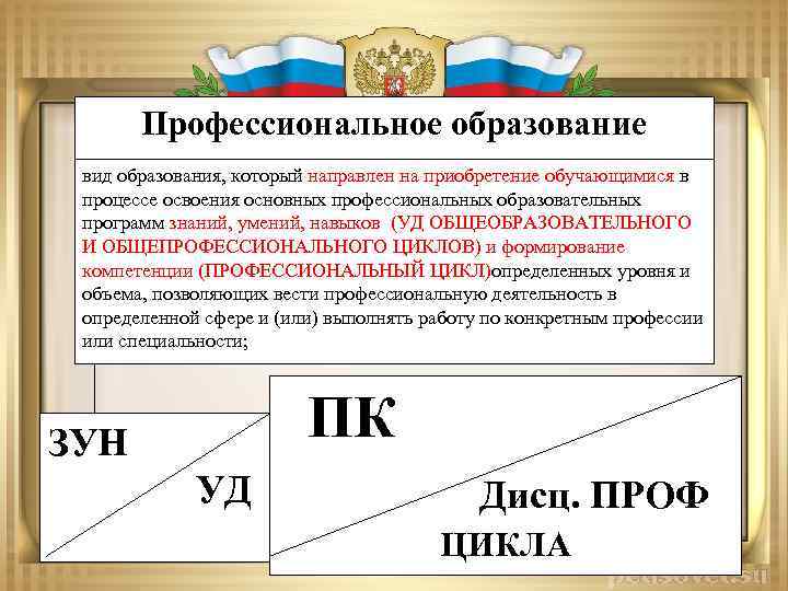 Профессиональное образование вид образования, который направлен на приобретение обучающимися в процессе освоения основных профессиональных