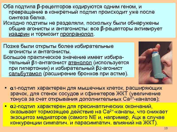 Оба подтипа -рецепторов кодируются одним геном, и превращение в конкретный подтип происходит уже после