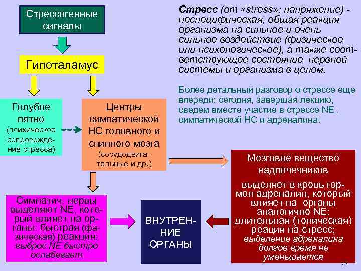 Стресс (от «stress» : напряжение) неспецифическая, общая реакция организма на сильное и очень сильное