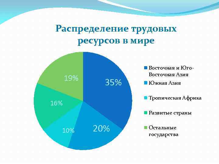 Трудовое распределение