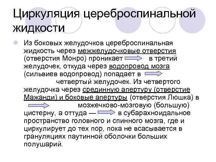 Циркуляция цереброспинальной жидкости l Из боковых желудочков цереброспинальная жидкость через межжелудочковые отверстия (отверстия Монро)