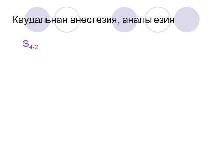 Каудальная анестезия, анальгезия S 4 2 