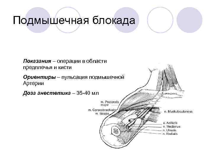 Подмышечная блокада Показания – операции в области предплечья и кисти Ориентиры – пульсация подмышечной