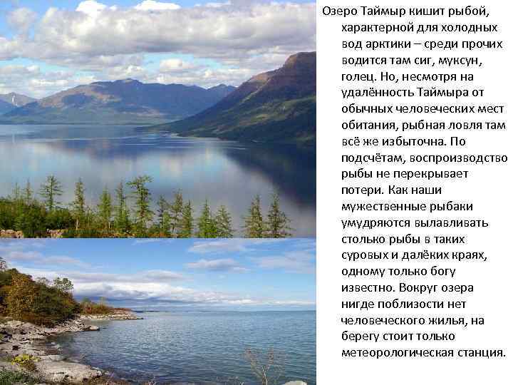 Происхождение озера таймыр