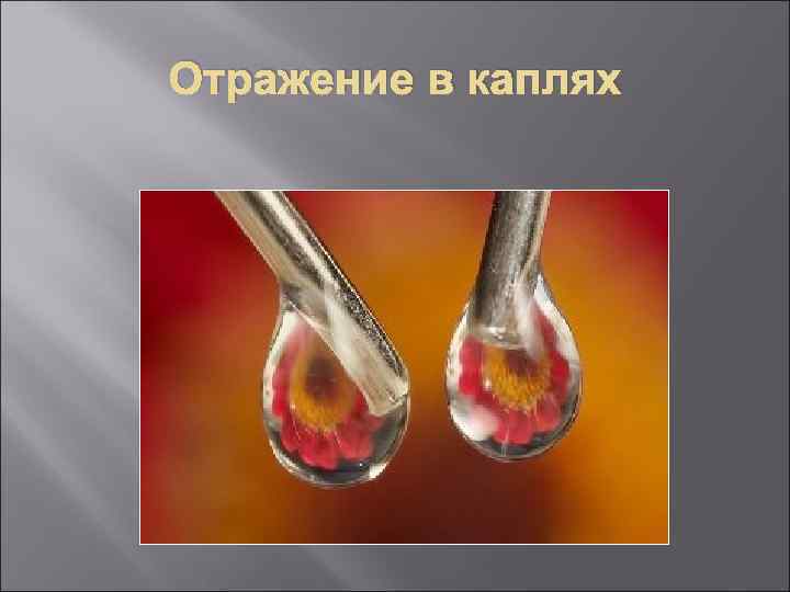 Отражение в каплях 