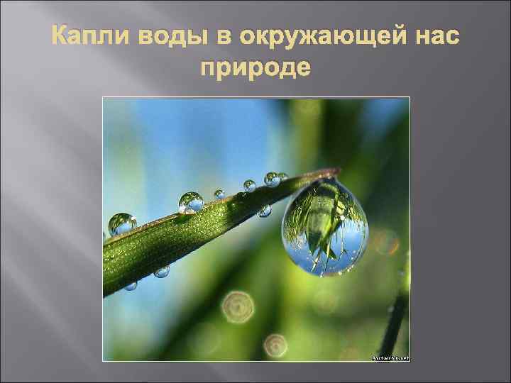 Капли воды в окружающей нас природе 