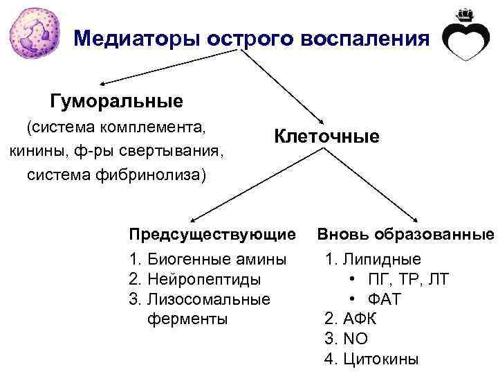 Медиаторы острого воспаления Гуморальные (система комплемента, кинины, ф-ры свертывания, система фибринолиза) Клеточные Предсуществующие 1.