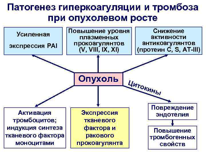 Патогенез гиперкоагуляции и тромбоза при опухолевом росте Усиленная экспрессия PAI Повышение уровня плазменных прокоагулянтов