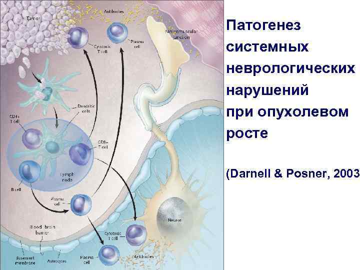 Патогенез системных неврологических нарушений при опухолевом росте (Darnell & Posner, 2003 