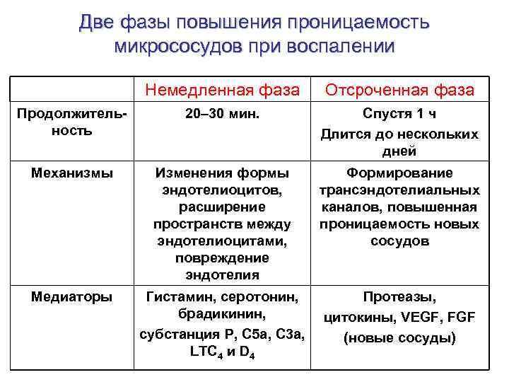 Две фазы повышения проницаемость микрососудов при воспалении Немедленная фаза Отсроченная фаза Продолжительность 20– 30