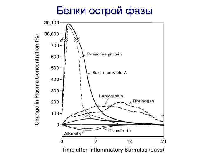 Белки острой фазы воспаления презентация