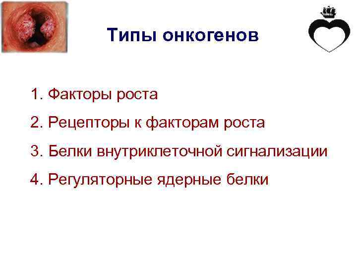 Типы онкогенов 1. Факторы роста 2. Рецепторы к факторам роста 3. Белки внутриклеточной сигнализации