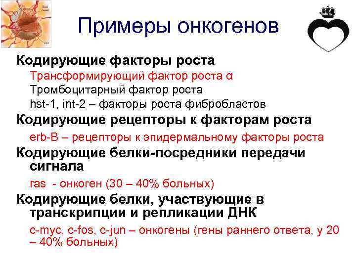 Примеры онкогенов Кодирующие факторы роста Трансформирующий фактор роста α Тромбоцитарный фактор роста hst-1, int-2