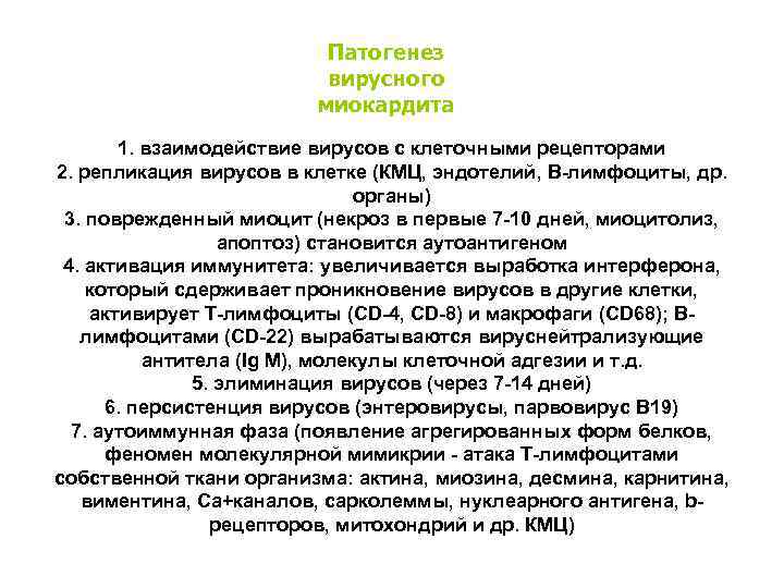Патогенез вирусного миокардита 1. взаимодействие вирусов с клеточными рецепторами 2. репликация вирусов в клетке
