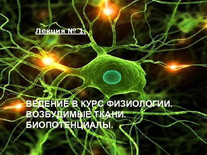 Лекция № 1. ВЕДЕНИЕ В КУРС ФИЗИОЛОГИИ. ВОЗБУДИМЫЕ ТКАНИ. БИОПОТЕНЦИАЛЫ. 