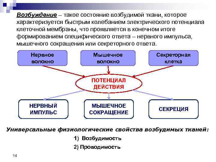 Возбуждение – такое состояние возбудимой ткани, которое характеризуется быстрым колебанием электрического потенциала клеточной мембраны,