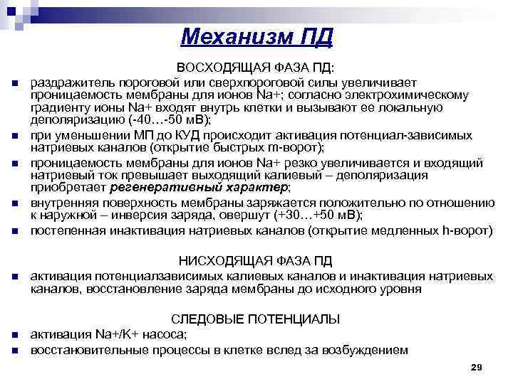 Механизм ПД n n n ВОСХОДЯЩАЯ ФАЗА ПД: раздражитель пороговой или сверхпороговой силы увеличивает