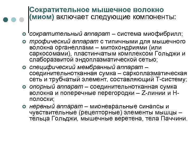 Сократительное мышечное волокно (миом) включает следующие компоненты: ¢ ¢ ¢ сократительный аппарат – система