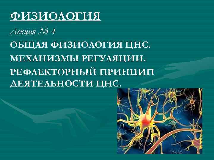 ФИЗИОЛОГИЯ Лекция № 4 ОБЩАЯ ФИЗИОЛОГИЯ ЦНС. МЕХАНИЗМЫ РЕГУЛЯЦИИ. РЕФЛЕКТОРНЫЙ ПРИНЦИП ДЕЯТЕЛЬНОСТИ ЦНС. 