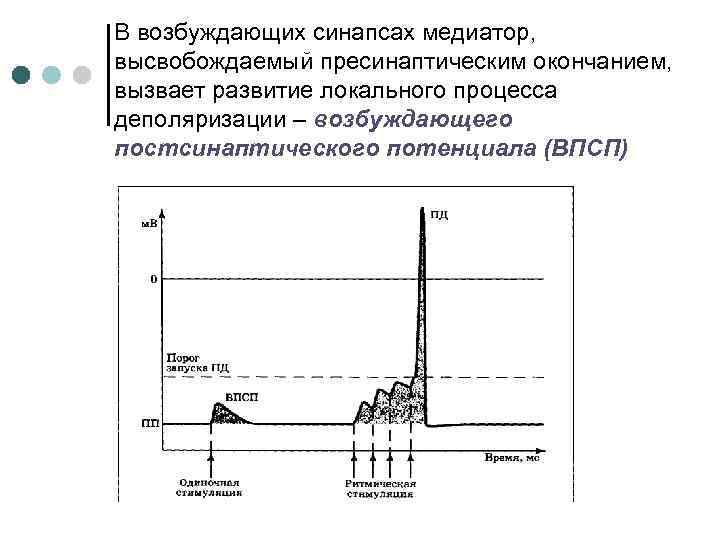 В возбуждающих синапсах медиатор, высвобождаемый пресинаптическим окончанием, вызвает развитие локального процесса деполяризации – возбуждающего