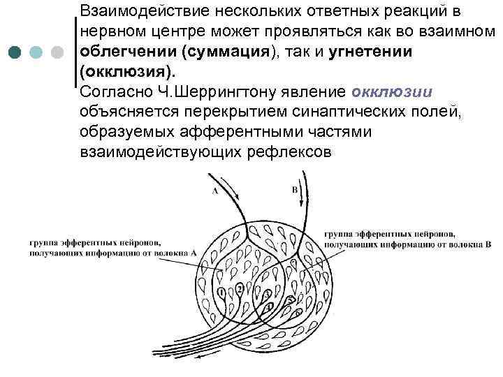 Взаимодействие нескольких ответных реакций в нервном центре может проявляться как во взаимном облегчении (суммация),