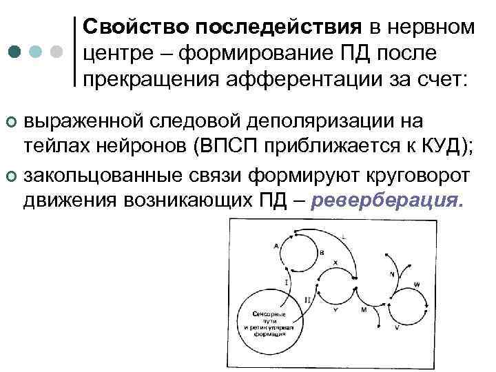 Свойство последействия в нервном центре – формирование ПД после прекращения афферентации за счет: выраженной