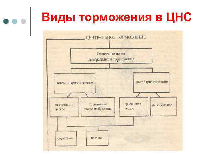 Виды торможения в ЦНС 