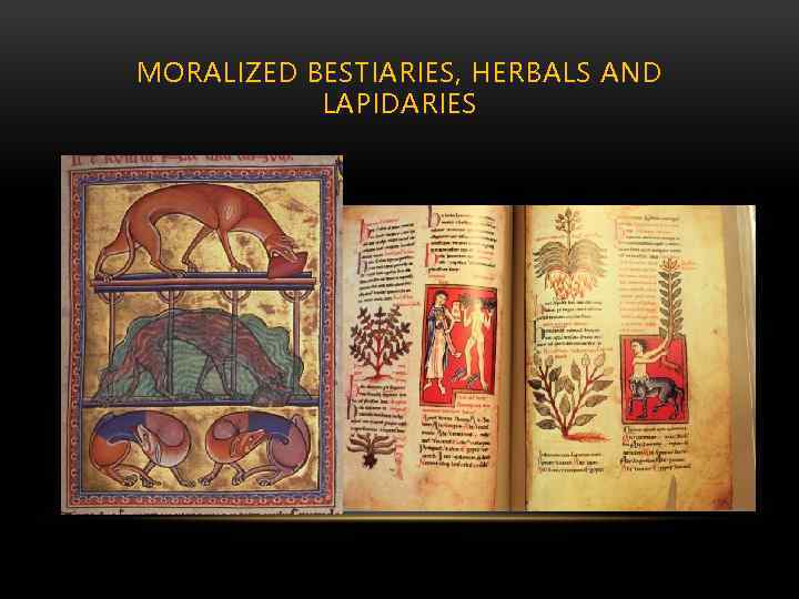 MORALIZED BESTIARIES, HERBALS AND LAPIDARIES 