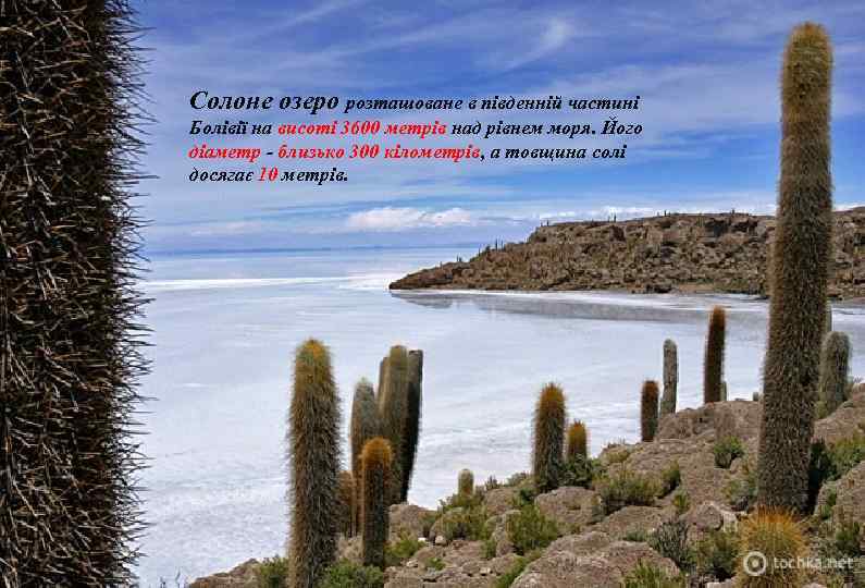 Cолоне озеро розташоване в південній частині Болівії на висоті 3600 метрів над рівнем моря.