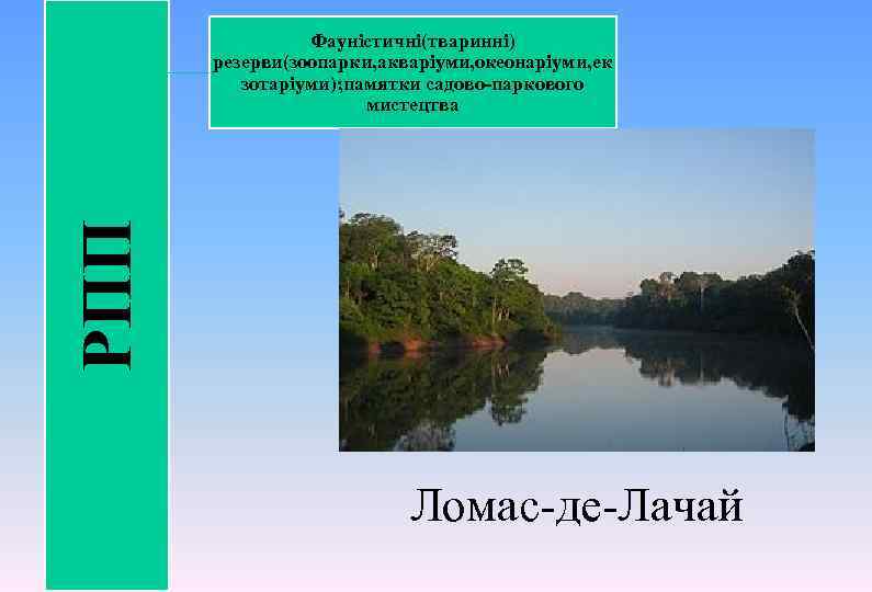 РПП Фауністичні(тваринні) резерви(зоопарки, акваріуми, океонаріуми, ек зотаріуми); памятки садово-паркового мистецтва Ломас-де-Лачай 