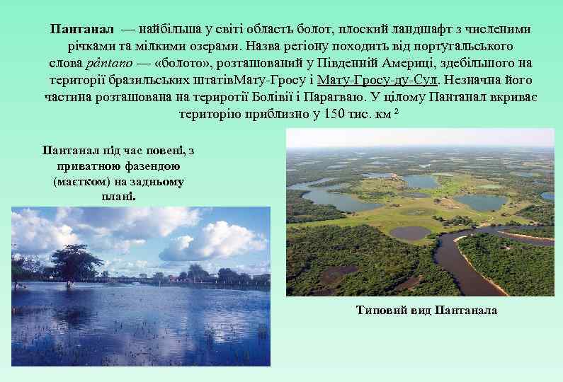 Пантанал — найбільша у світі область болот, плоский ландшафт з численими річками та мілкими