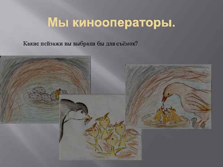 Мы кинооператоры. Какие пейзажи вы выбрали бы для съёмок? 