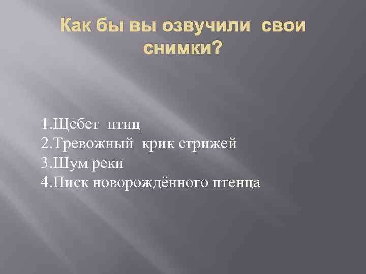 Как бы вы озвучили свои снимки? 1. Щебет птиц 2. Тревожный крик стрижей 3.