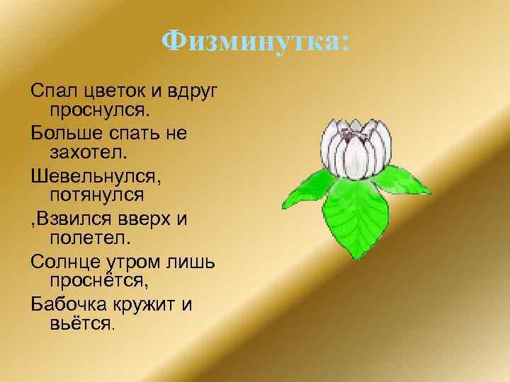 Физминутка: Спал цветок и вдруг проснулся. Больше спать не захотел. Шевельнулся, потянулся , Взвился