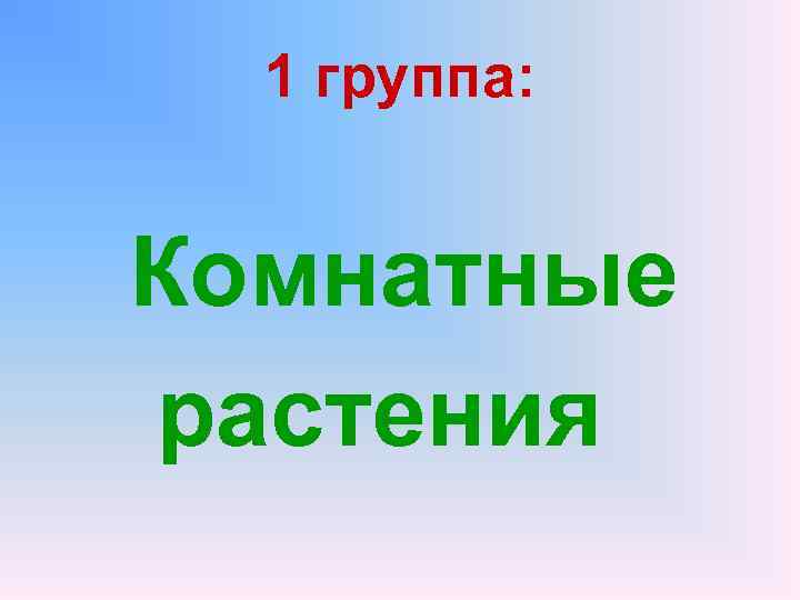 1 группа: Комнатные растения 