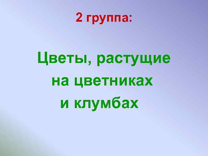 2 группа: Цветы, растущие на цветниках и клумбах 