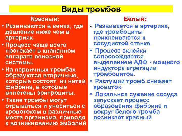 Виды тромбов Красный: Белый: • Развиваются в венах, где • Развивается в артериях, давление