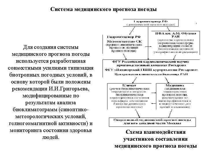 Система медицинского прогноза погоды Для создания системы медицинского прогноза погоды используется разработанная совместными усилиями