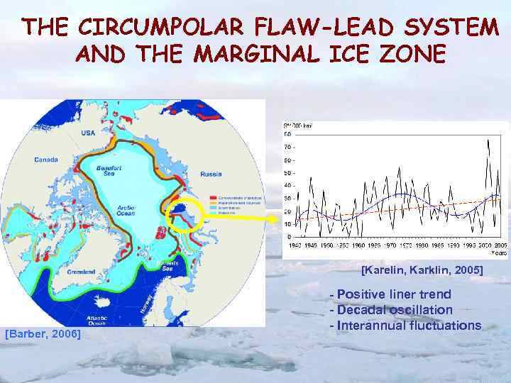 THE CIRCUMPOLAR FLAW-LEAD SYSTEM AND THE MARGINAL ICE ZONE [Karelin, Karklin, 2005] [Barber, 2006]