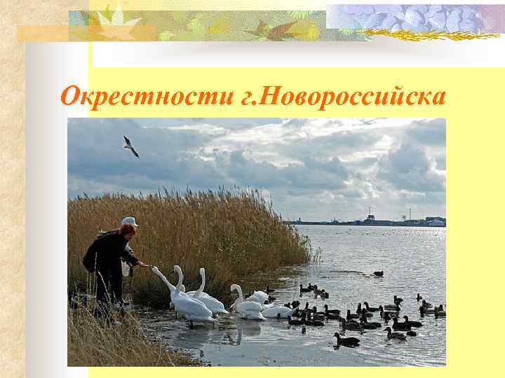 Окрестности г. Новороссийска 