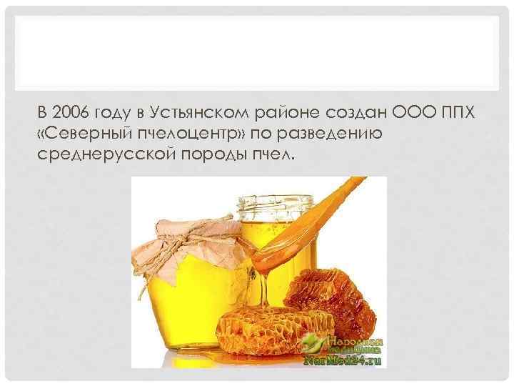В 2006 году в Устьянском районе создан ООО ППХ «Северный пчелоцентр» по разведению среднерусской