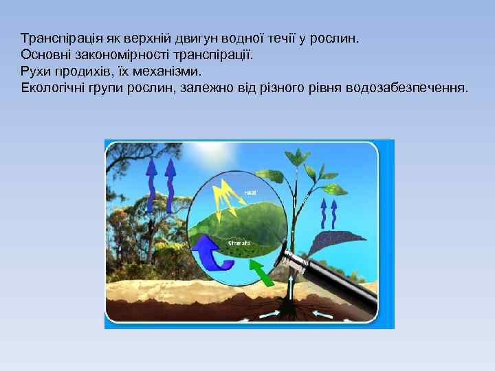 Транспірація як верхній двигун водної течії у рослин. Основні закономірності транспірації. Рухи продихів, їх