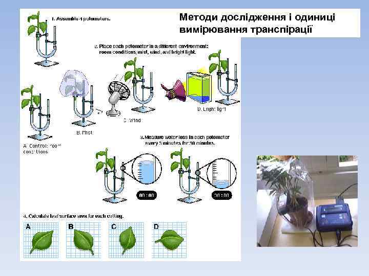 Методи дослідження і одиниці вимірювання транспірації 