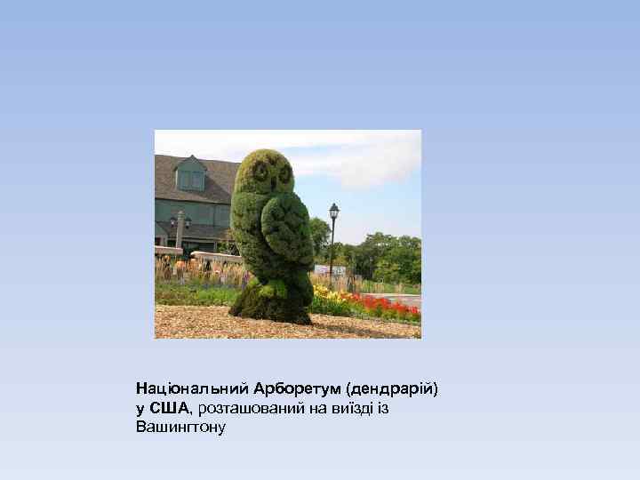 Національний Арборетум (дендрарій) у США, розташований на виїзді із Вашингтону 