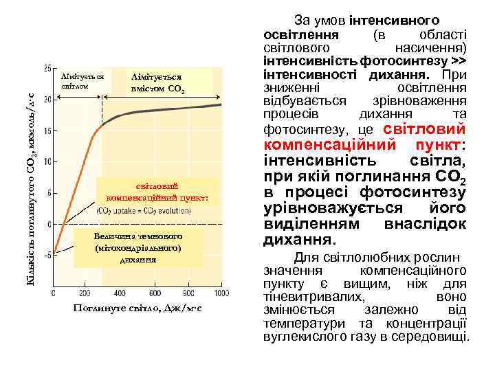 Лімітується світлом Кількість поглинутого СО 2, мкмоль/л∙с • рисунок Лімітується вмістом СО 2 світловий