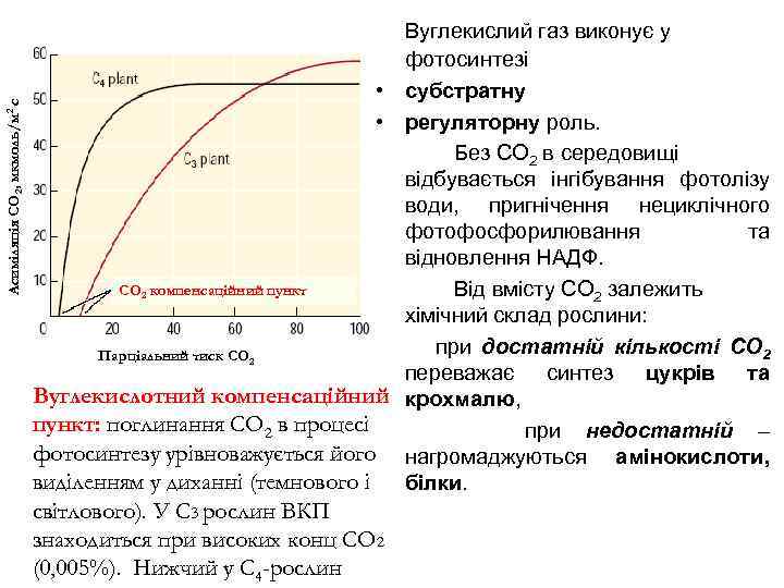 Асиміляція СО 2, мкмоль/м 2 с Вуглекислий газ виконує у фотосинтезі • субстратну •