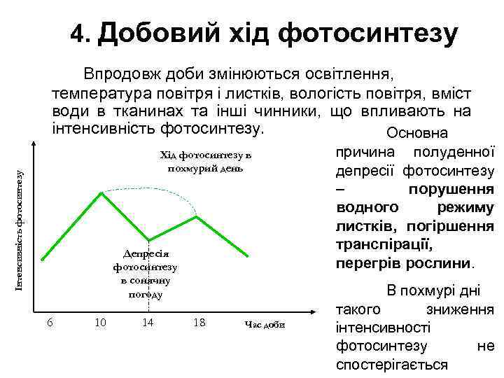 4. Добовий хід фотосинтезу Впродовж доби змінюються освітлення, температура повітря і листків, вологість повітря,