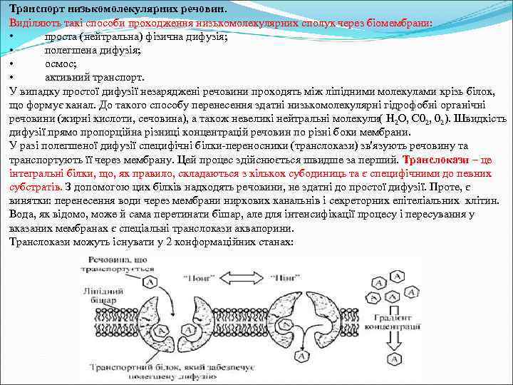 Транспорт низькомолекулярних речовин. Виділяють такі способи проходження низькомолекулярних сполук через біомембрани: • проста (нейтральна)