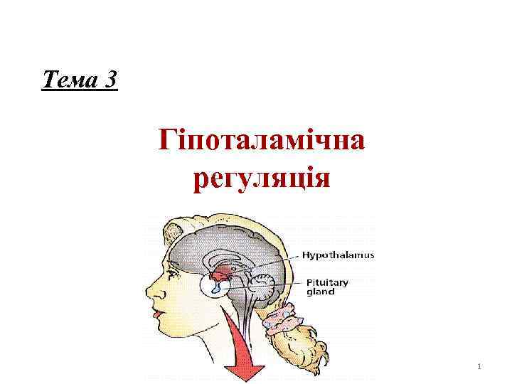 Тема 3 Гіпоталамічна регуляція 1 