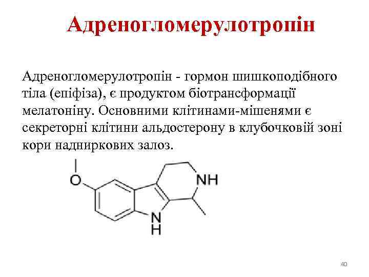 Адреногломерулотропін - гормон шишкоподібного тіла (епіфіза), є продуктом біотрансформації мелатоніну. Основними клітинами-мішенями є секреторні